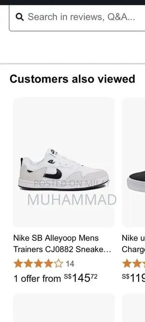 Nike SB Skateboarding Shoes - Size 45 European Fit