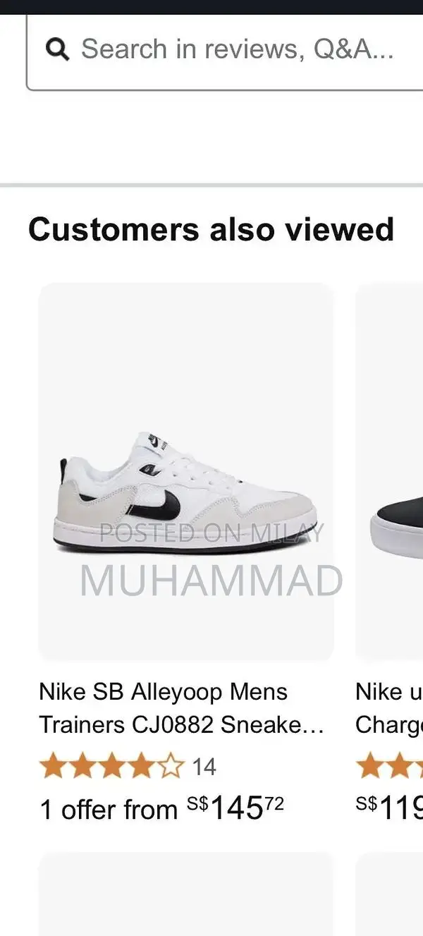 Nike SB Skateboarding Shoes - Size 45 European Fit