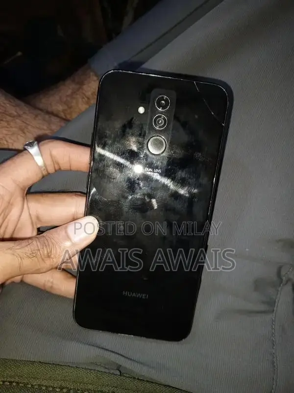 Compact Smartphone Lite Model with Advanced Features