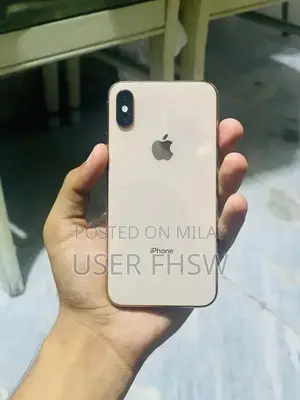 Apple iPhone XS 256GB Fully Unlocked Smartphone