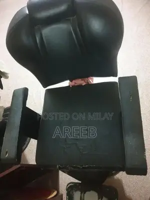 Classic Parlour Chairs and Decorative Mirrors Set