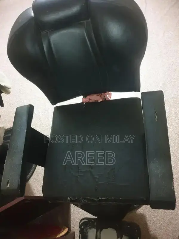 Classic Parlour Chairs and Decorative Mirrors Set