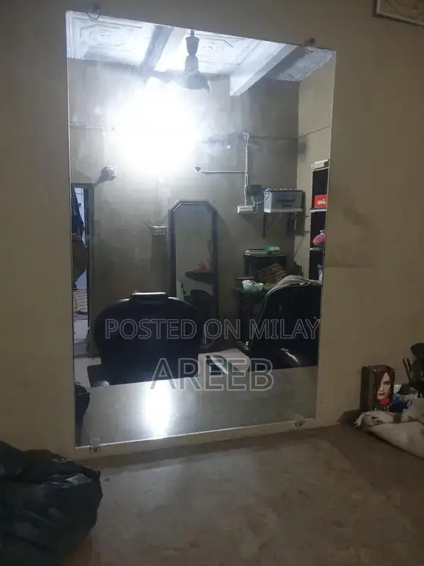 Classic Parlour Chairs and Decorative Mirrors Set