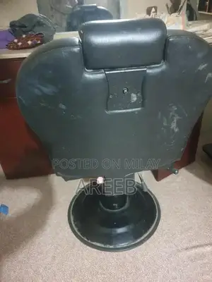 Classic Parlour Chairs and Decorative Mirrors Set