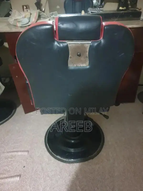 Classic Parlour Chairs and Decorative Mirrors Set