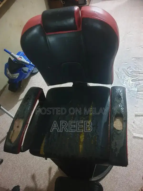 Classic Parlour Chairs and Decorative Mirrors Set