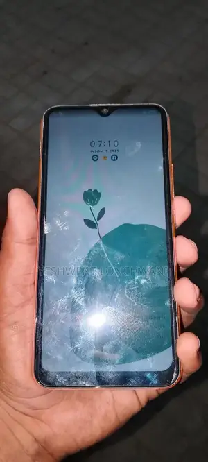 Vivo Y17 Smartphone with 8GB RAM and 256GB Storage