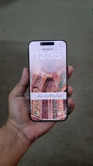 Pro Max Natural Titanium Smartphone Unlocked LLA Model