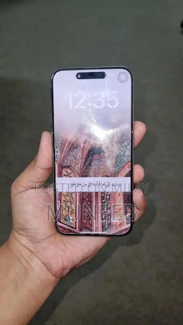 Pro Max Natural Titanium Smartphone Unlocked LLA Model