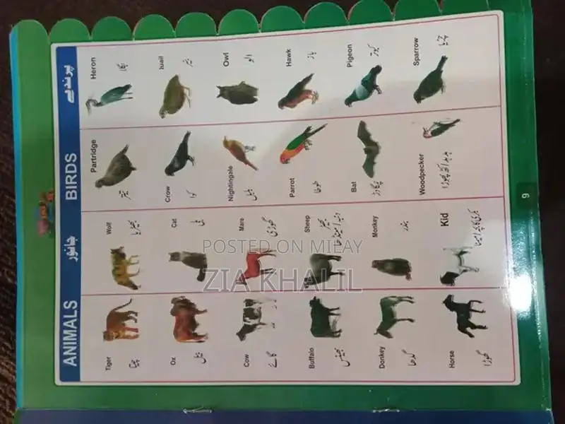 Multipurpose Kids Learning Whiteboard Book - Educational Writing Board