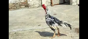 Antique Silver Decorative Bird Figurine - Elegant Home Accent Piece