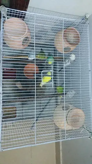Photo - All Setup Bird Breeding Cage for Multiple Pairs