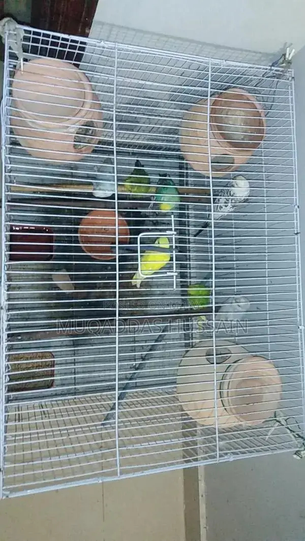 All Setup Bird Breeding Cage for Multiple Pairs