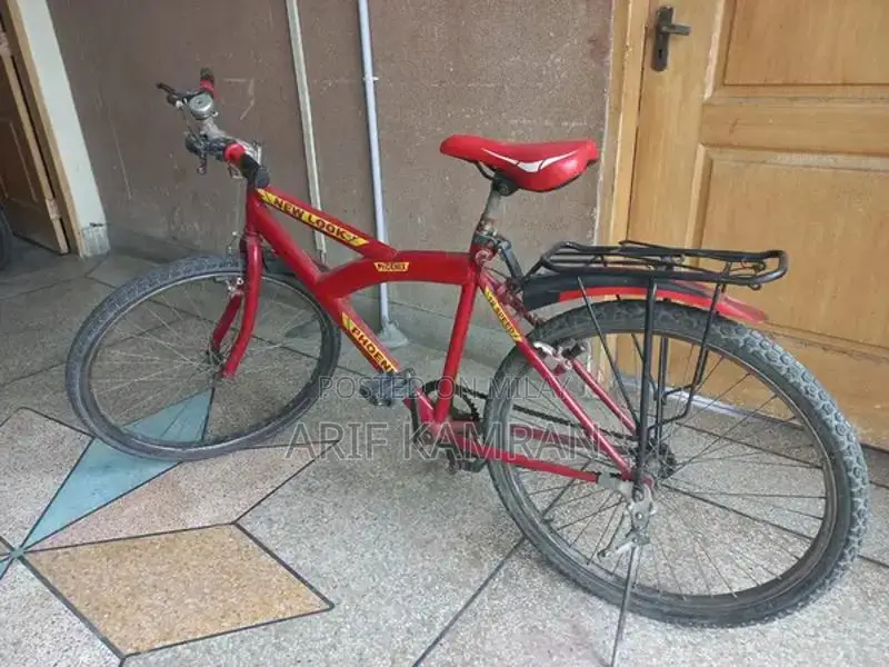 Full Size Home Exercise Cycle Bicycle