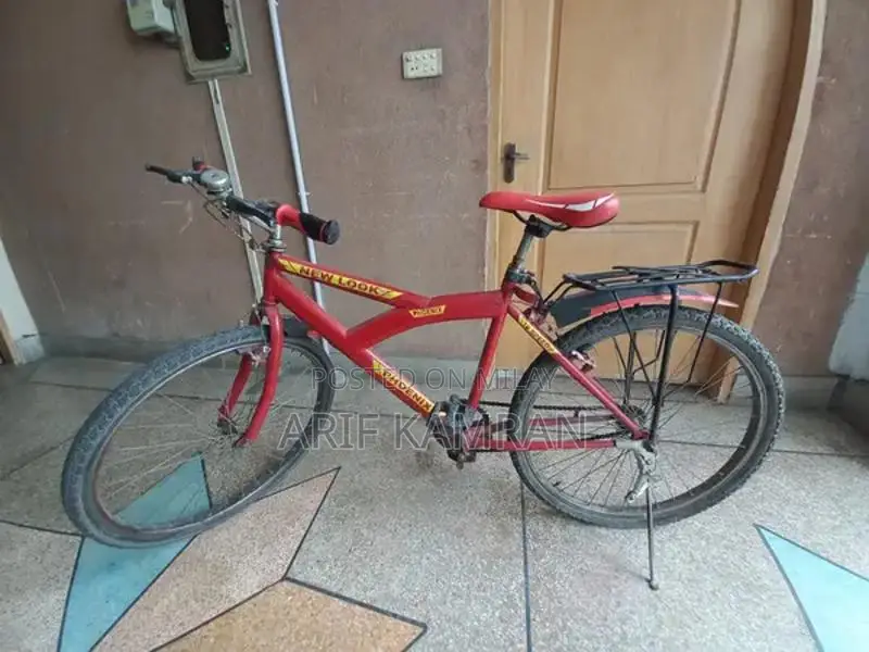 Full Size Home Exercise Cycle Bicycle