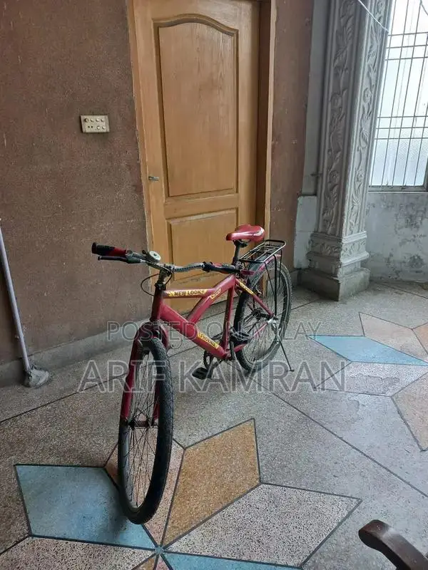 Full Size Home Exercise Cycle Bicycle