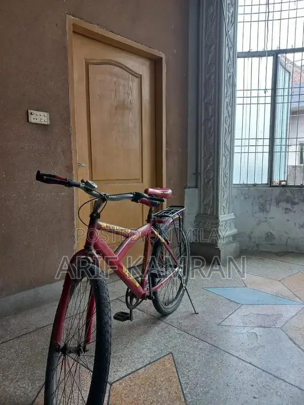 Full Size Home Exercise Cycle Bicycle