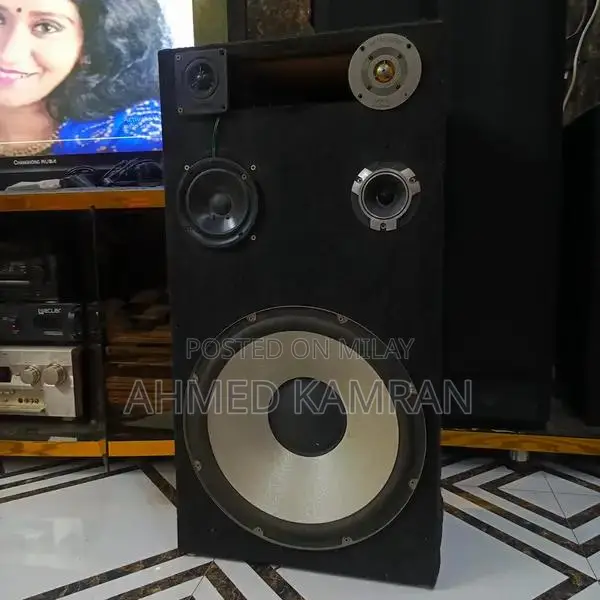 Sony DJ High-Power 15-Inch Home Audio Wooden Speakers