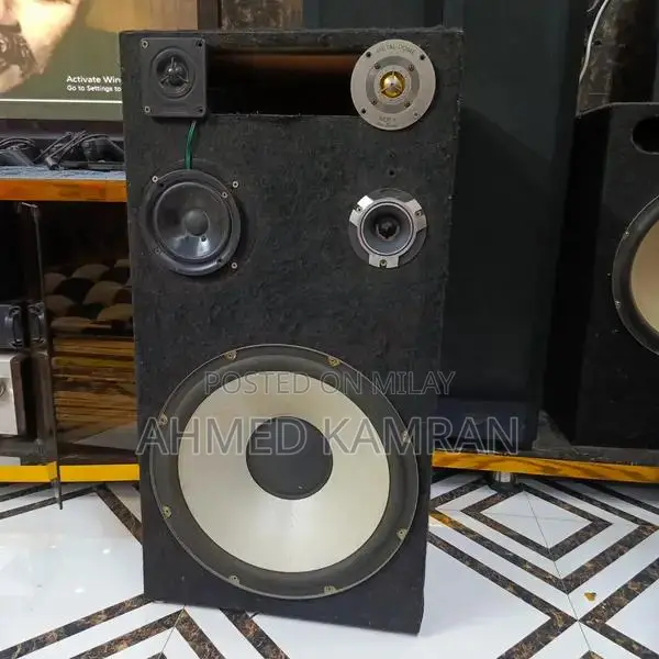 Sony DJ High-Power 15-Inch Home Audio Wooden Speakers