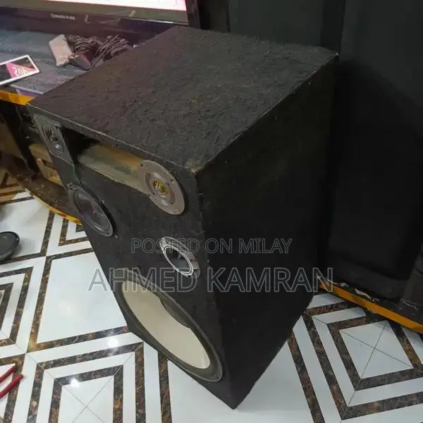 Sony DJ High-Power 15-Inch Home Audio Wooden Speakers