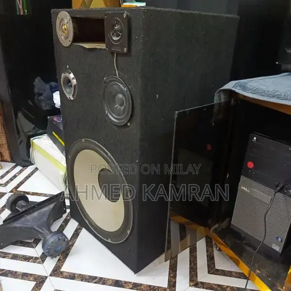 Sony DJ High-Power 15-Inch Home Audio Wooden Speakers