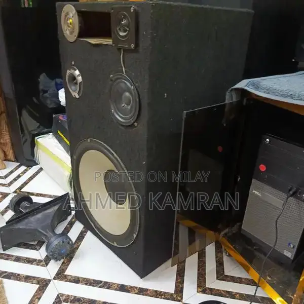 Sony DJ High-Power 15-Inch Home Audio Wooden Speakers