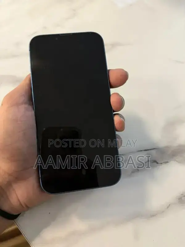 Apple iPhone 13 Non PTA Smartphone