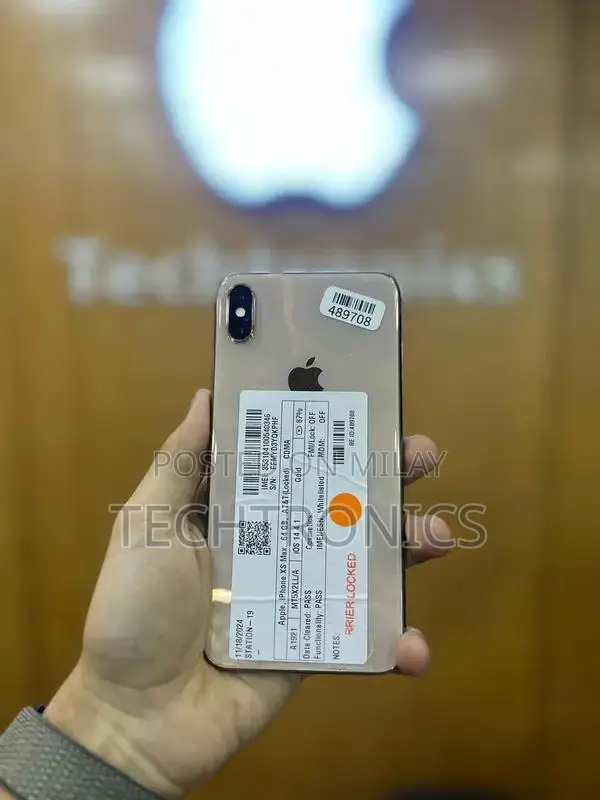 Apple iPhone XS Max 64GB Factory Unlocked Smartphone