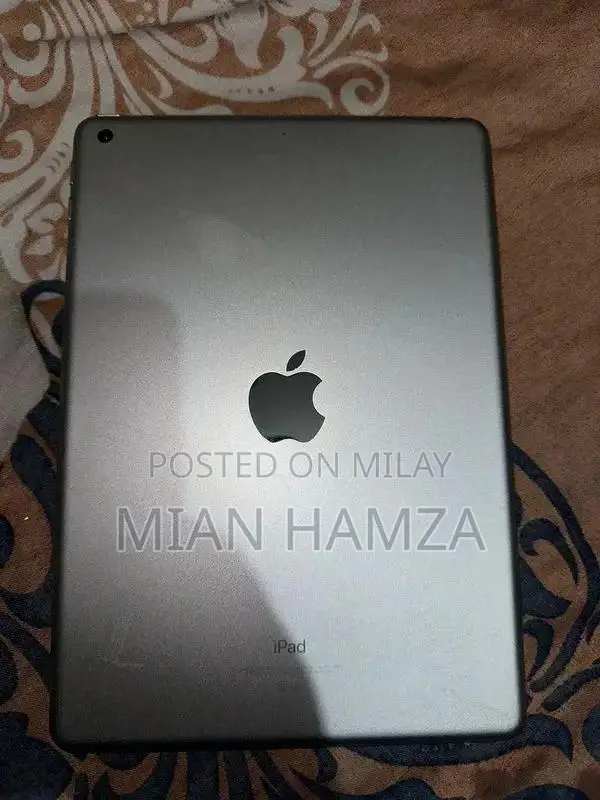 Apple iPad 5th Generation 2017 Tablet