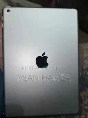 Apple iPad 5th Generation 2017 Tablet