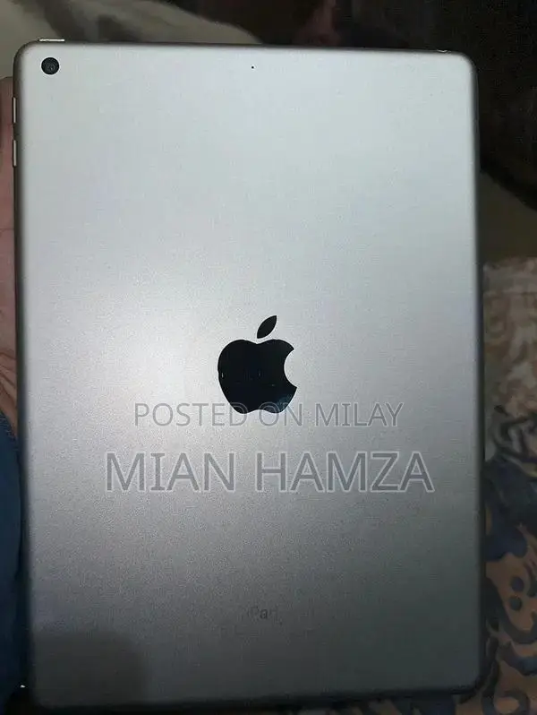 Apple iPad 5th Generation 2017 Tablet