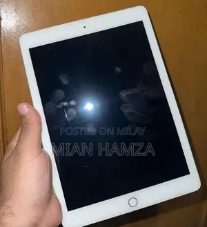 Apple iPad 5th Generation 2017 Tablet