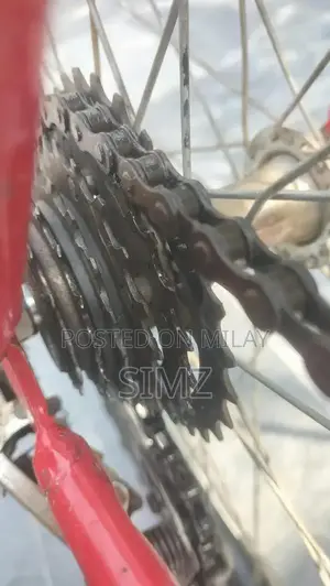 Sports Cycle with Extra Tyre and Original Covers