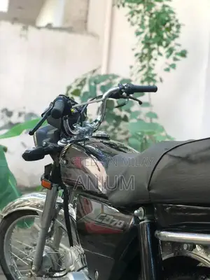 2025 Honda Motorcycle Low Mileage Excellent Condition