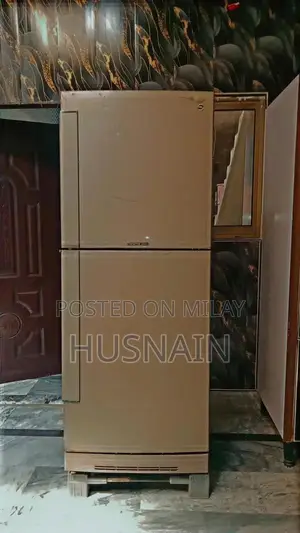 Photo - PEL Double Door Full Size Refrigerator with Spacious Storage