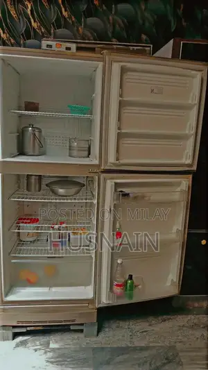 PEL Double Door Full Size Refrigerator with Spacious Storage