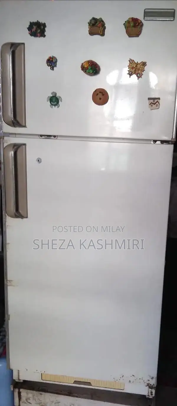 Phillips Advanced Refrigeration Solution with Smart Cooling