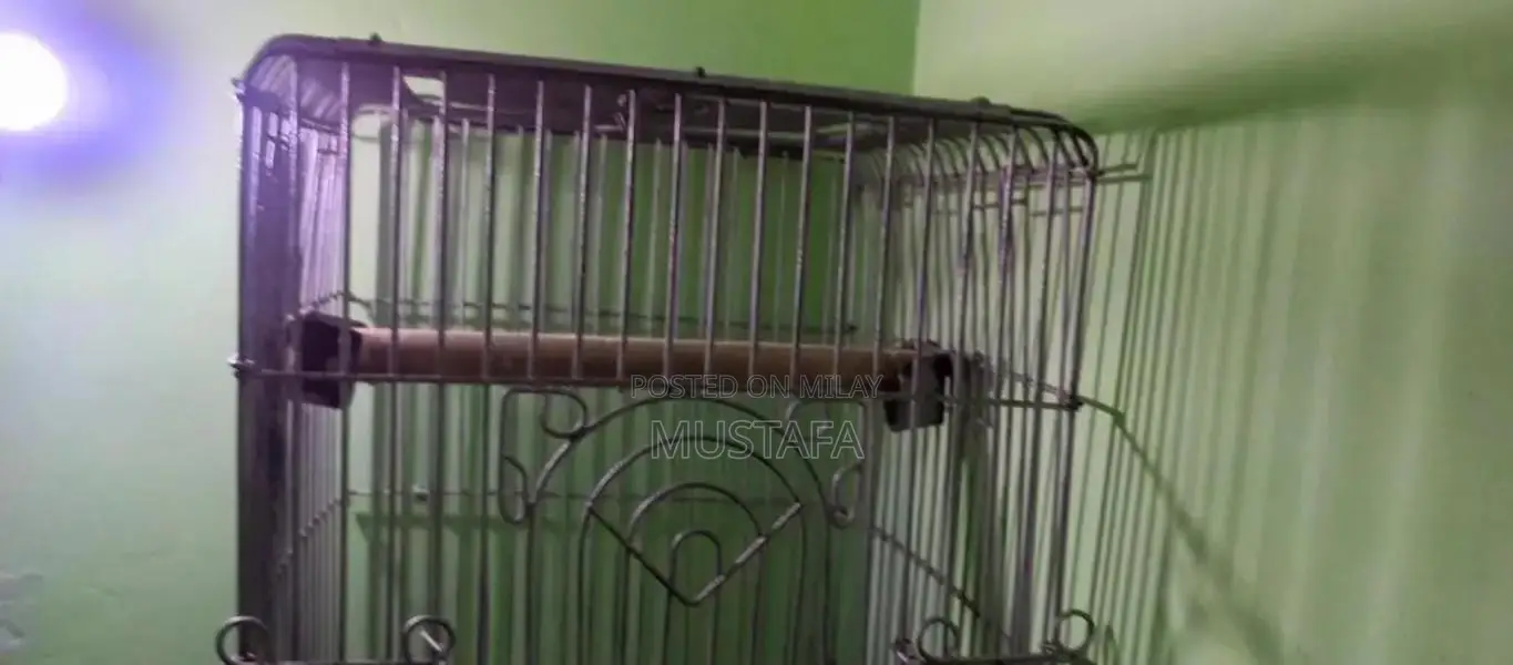Strong Durable Iron Pet Cage for Long-Lasting Use
