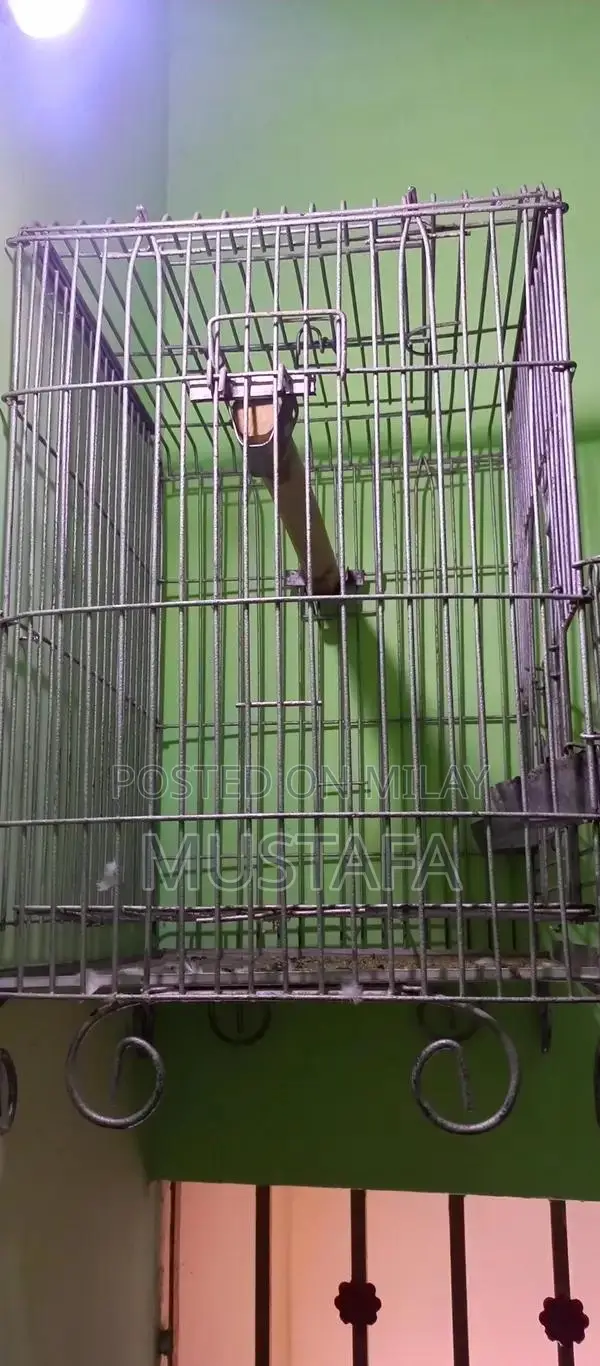 Strong Durable Iron Pet Cage for Long-Lasting Use