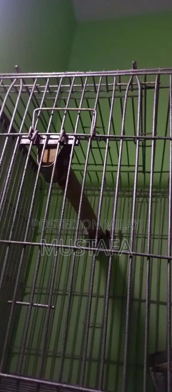 Strong Durable Iron Pet Cage for Long-Lasting Use