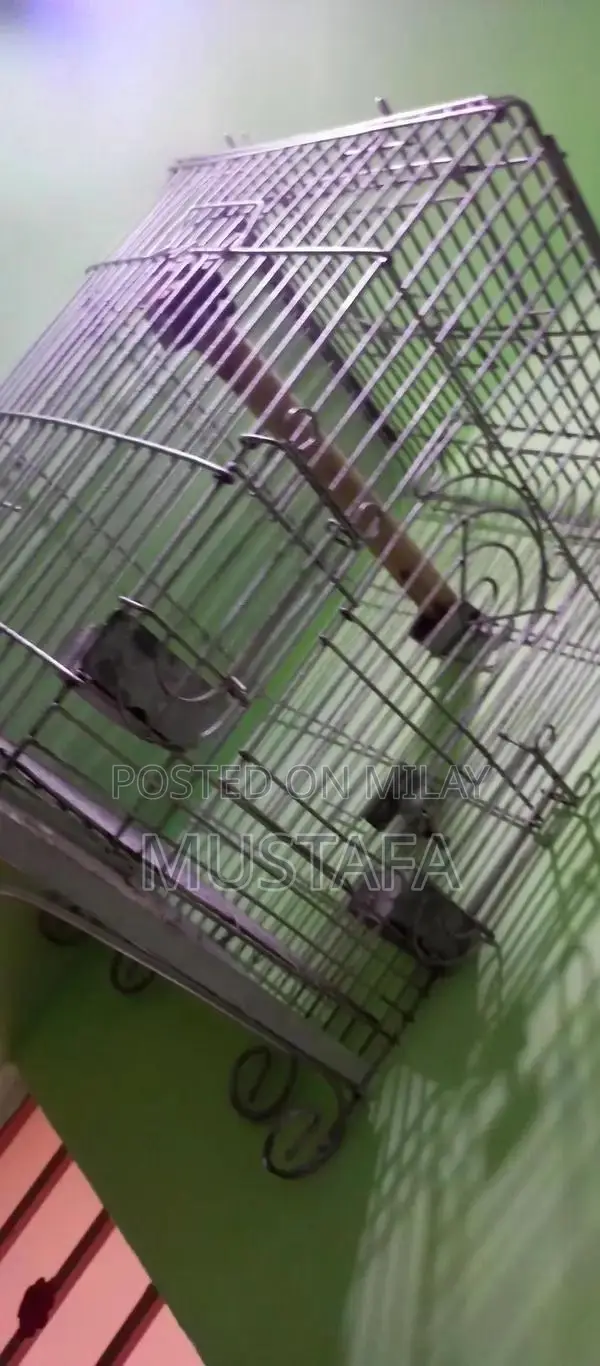 Strong Durable Iron Pet Cage for Long-Lasting Use