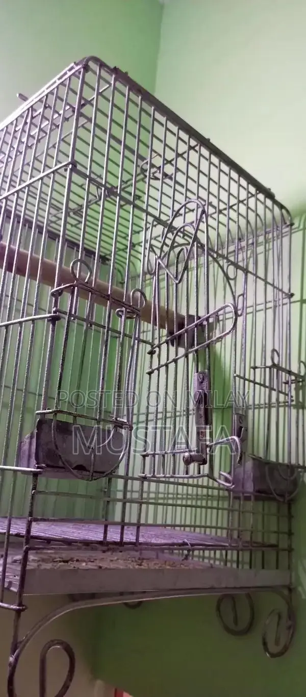 Strong Durable Iron Pet Cage for Long-Lasting Use