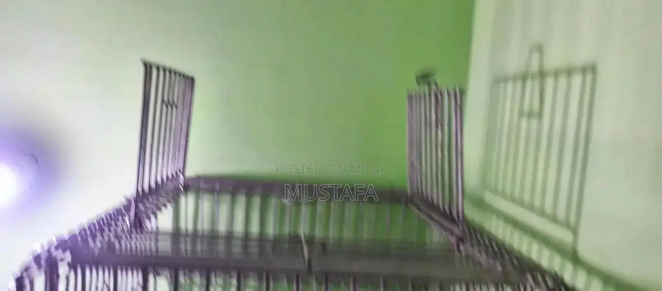 Strong Durable Iron Pet Cage for Long-Lasting Use