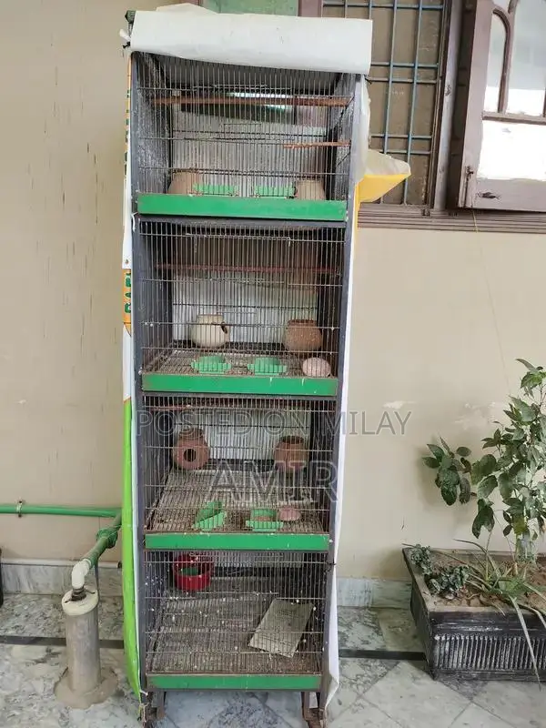 Large Spacious Parrot Cage for Multi-Bird Housing