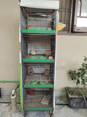 Large Spacious Parrot Cage for Multi-Bird Housing