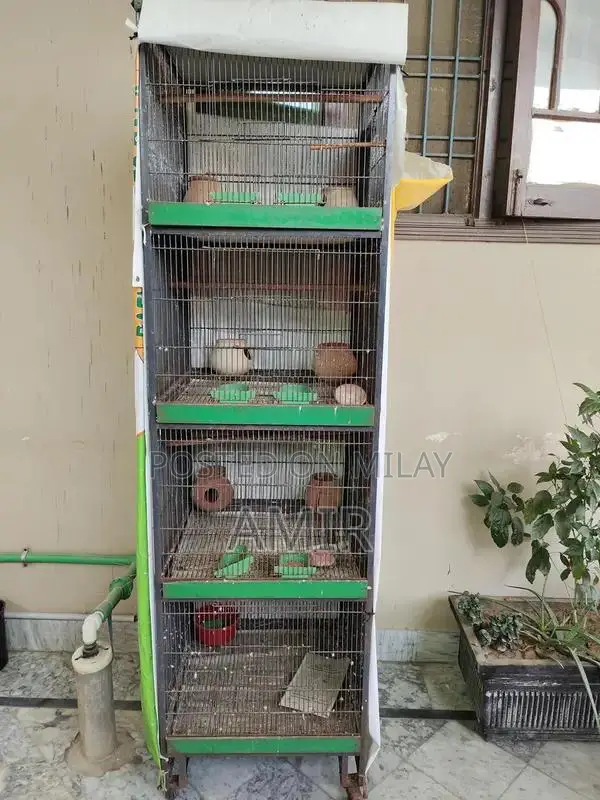 Large Spacious Parrot Cage for Multi-Bird Housing