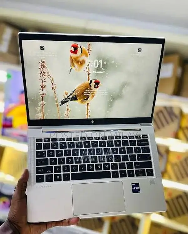 HP EliteBook 630 G10 Business Laptop - 13th Gen Intel Core i7