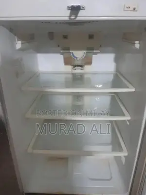 Japani Freeze Full-Size Air Humidifier with Advanced Features