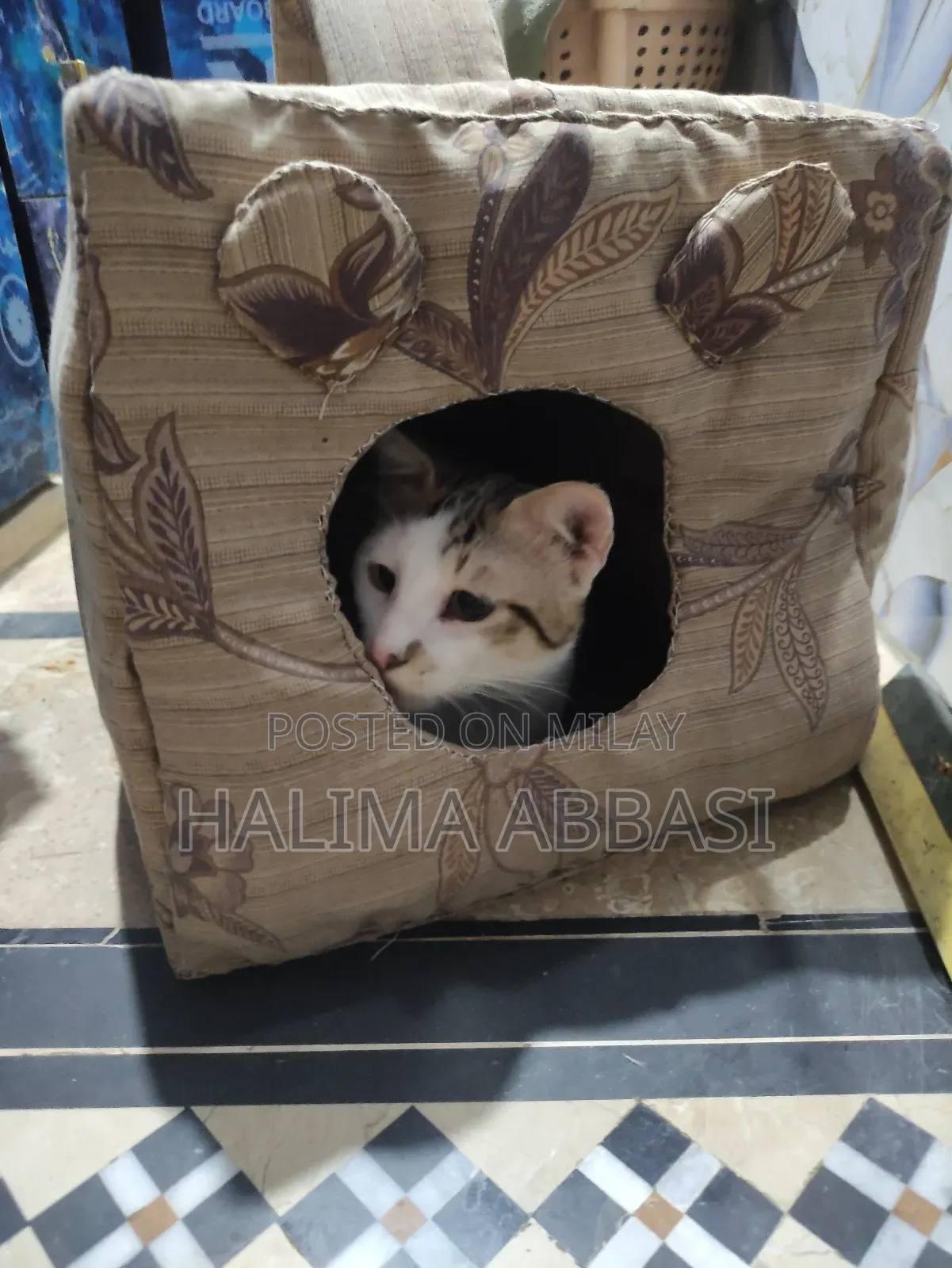 Miu Color Outdoor Cat House, Large Weatherproof Cat Houses for Outdoor