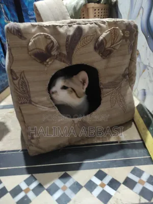 Miu Color Outdoor Cat House, Large Weatherproof Cat Houses for Outdoor